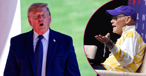 Composite photo of James Carville ; Donald Trump