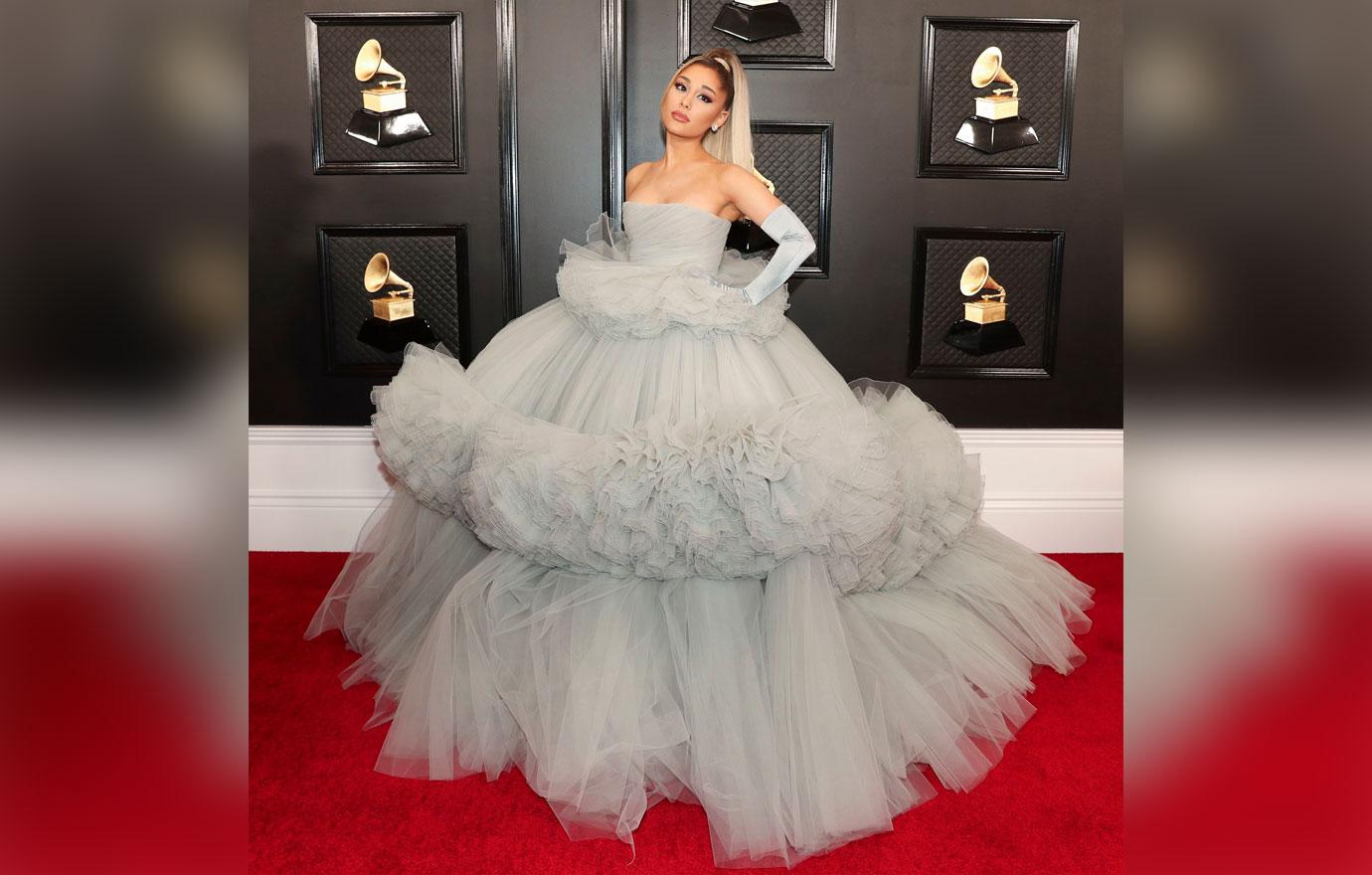 Grammy Awards 2020 Celebrity Red Carpet Arrival Photos Looks