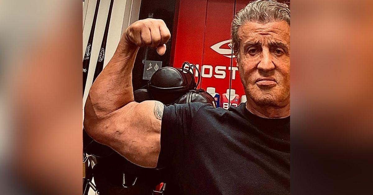 sylvester stallone