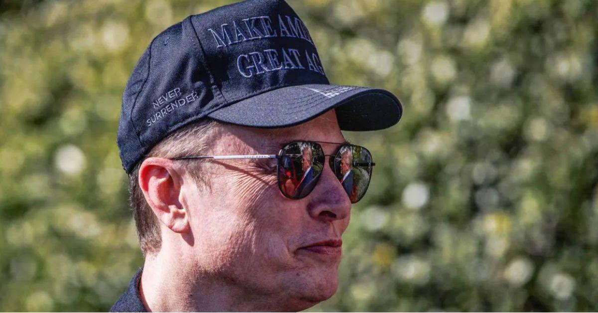 donald trump elon musk uses drugs