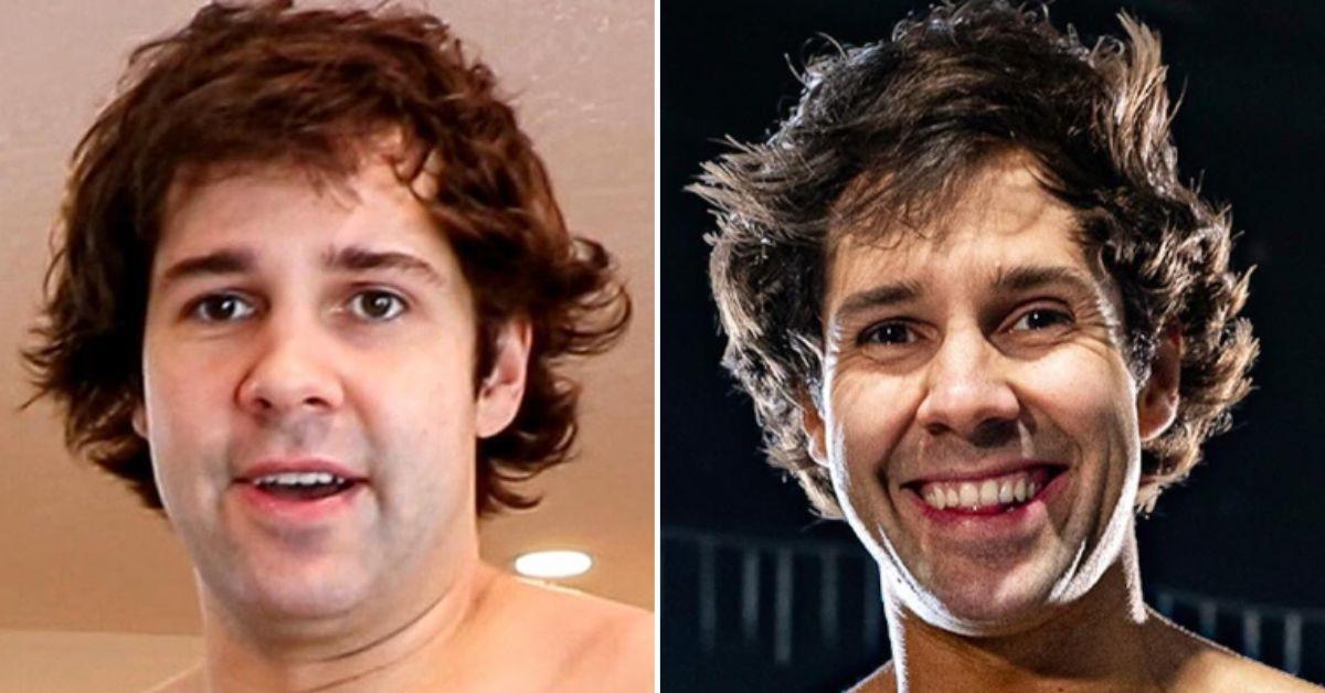 Composite photo of David Dobrik.