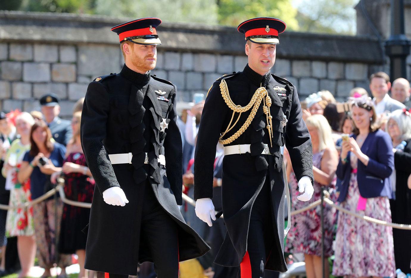 prince harry prince william