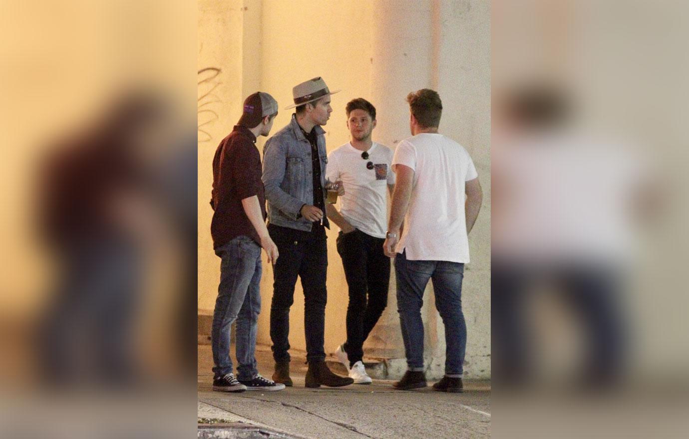 *EXCLUSIVE* Niall Horan and Shawn Mendes spend a night out in Los Feliz