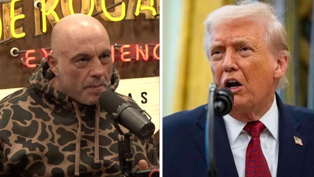 Split photo of Joe Rogan and Donald Trump