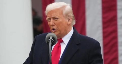 image of Donald trump
