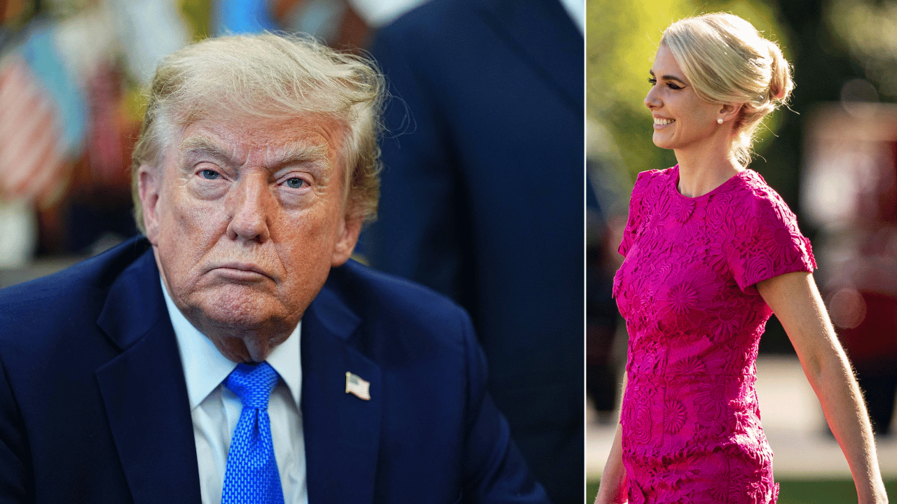 photo of Natalie Harp was one of three people who went on Donald Trump's secret plane while Air Force One was used as a decoy.