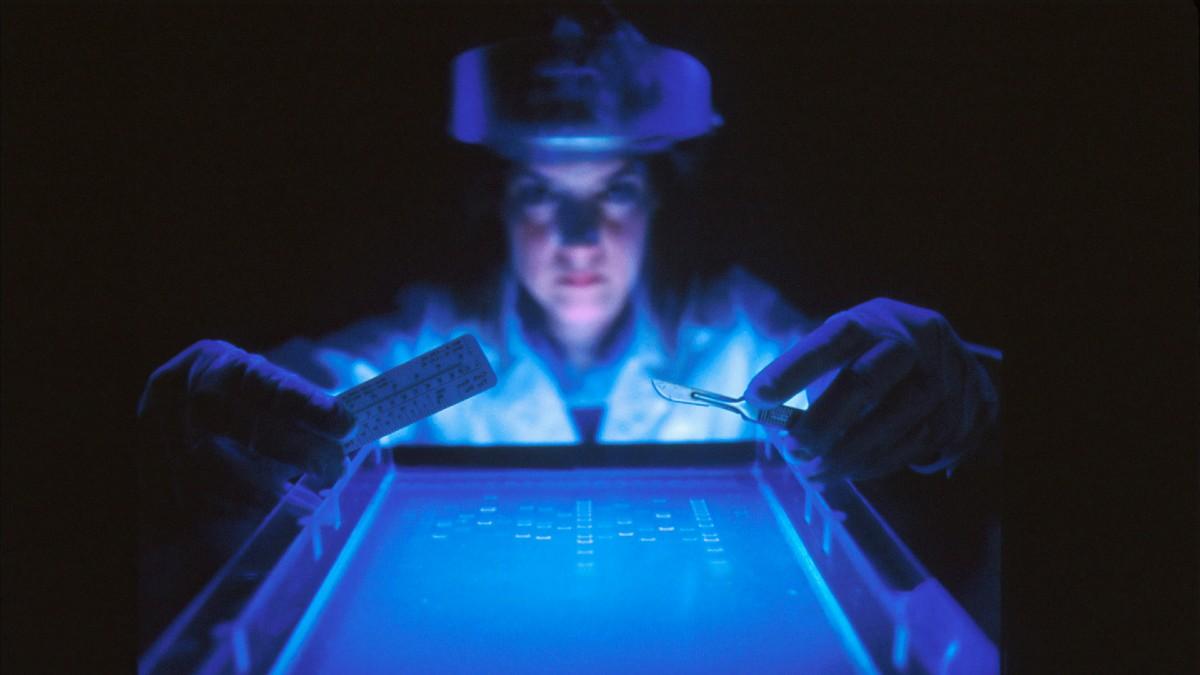 image of Megyn Kelly brought up the theory on her podcast. 