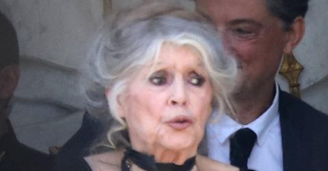 Photo of Brigitte Bardot.