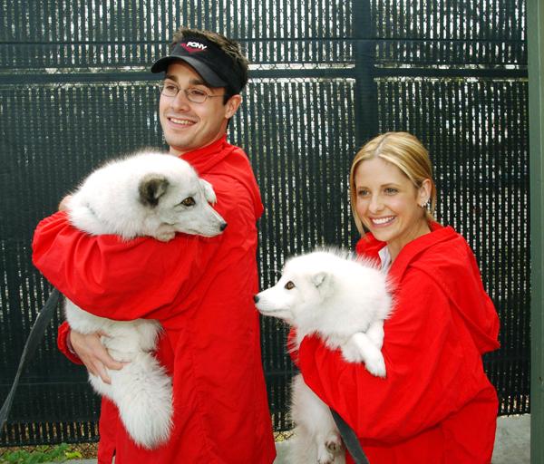 Freddie Prinze Jr Sarah Michelle Gellar 3