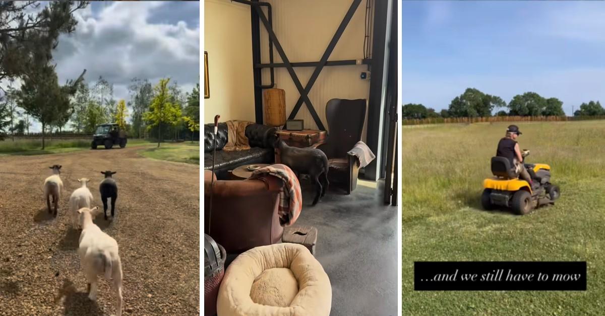 ellen uk home ig split pic