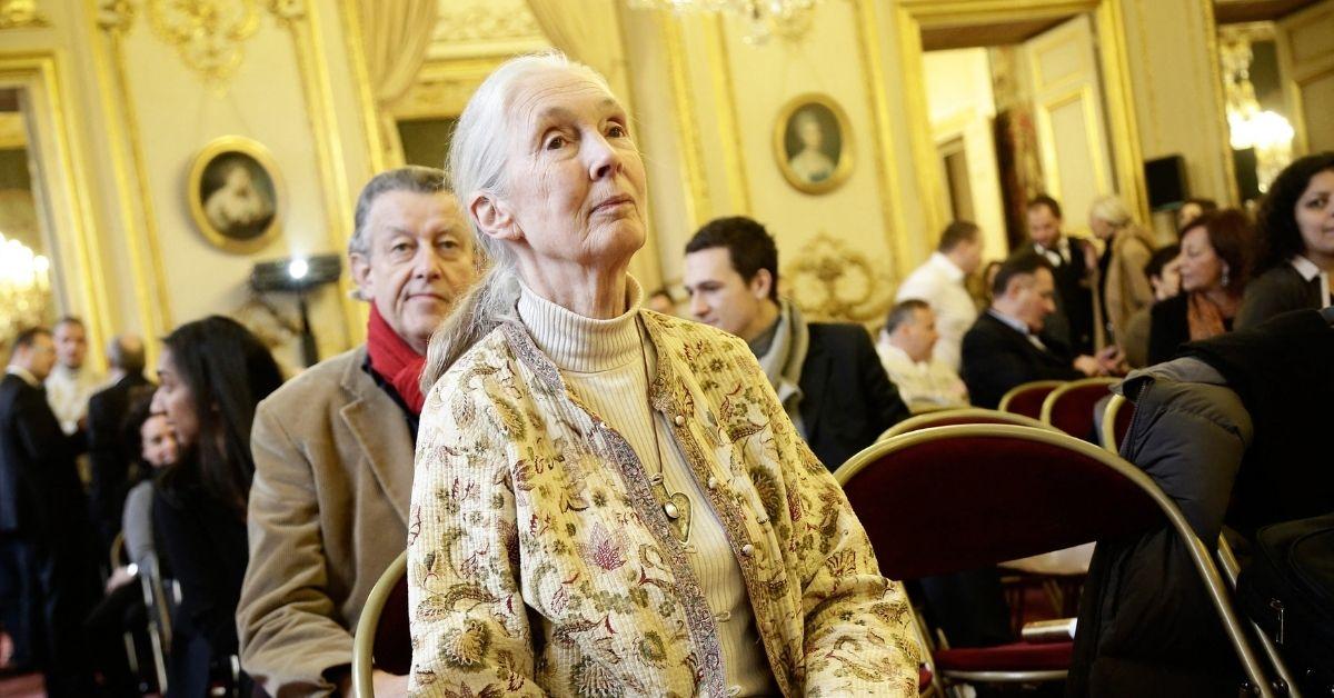 jane goodall life in photos animal welfare activist dead at