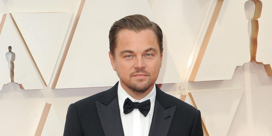 Leonardo DiCaprio at the 92nd Annual Academy Awards