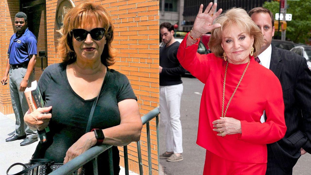 Split image of Joy Behar and Barbara Walters.