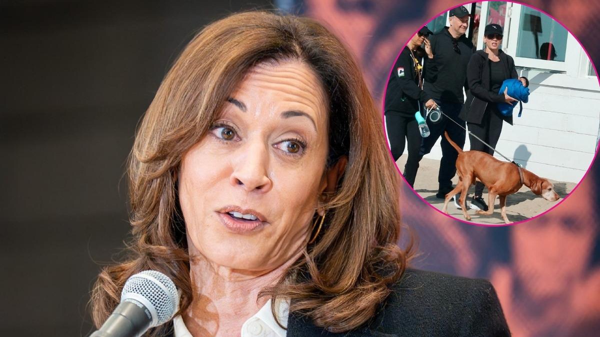 Photo of Kamala Harris