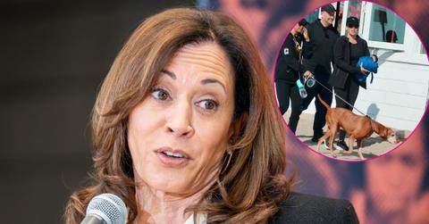 Photo of Kamala Harris