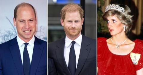 prince william protected shielded harry princess diana unhappiness