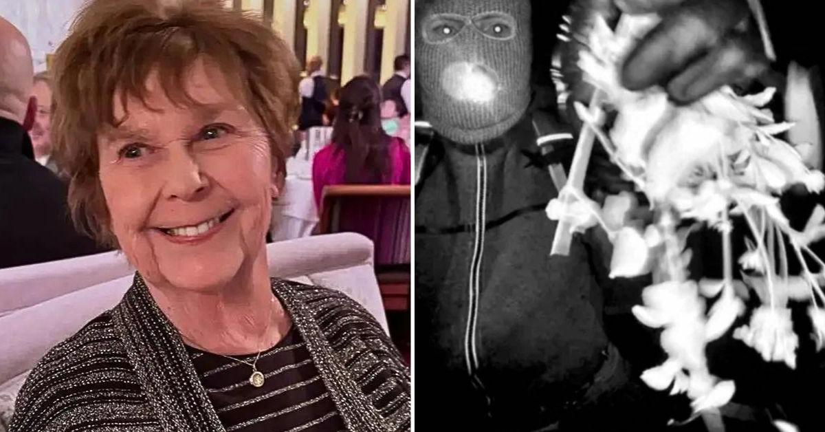 Nancy Guthrie Case: Overseas Digital Mastermind May Be Behind the 'Sophisticated' Abduction, Retired Detective Suggests