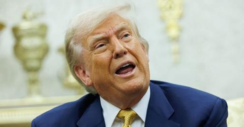 maga figures pressured donald trump epstein files