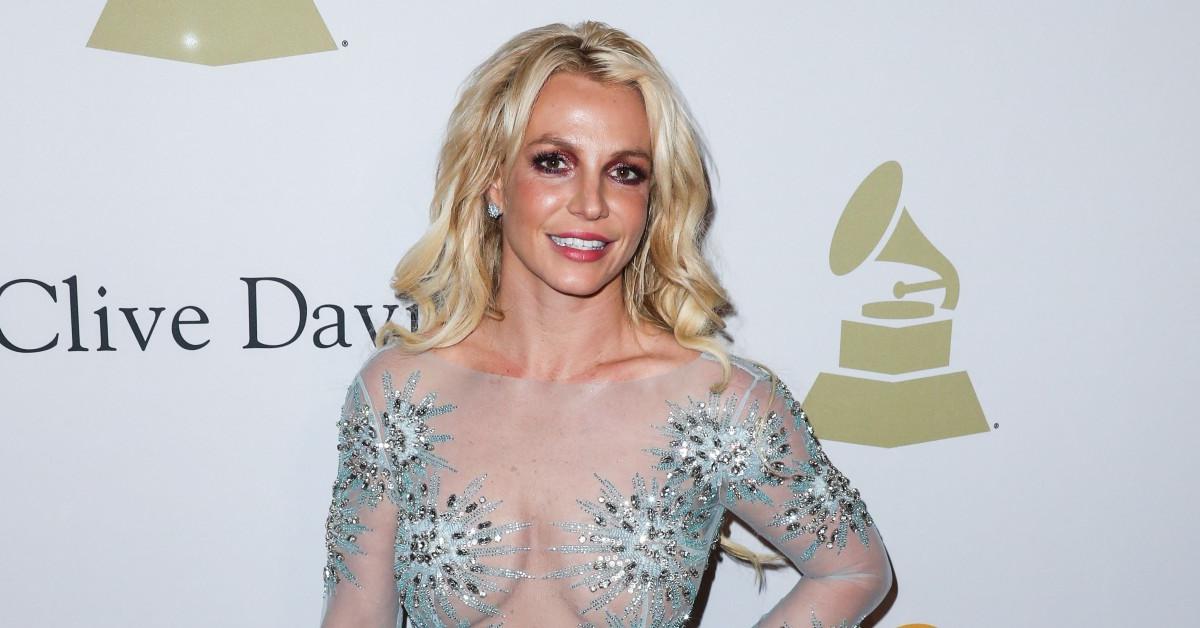 Britney Spears Speaks Out On 'Hardships' & 'Madness'