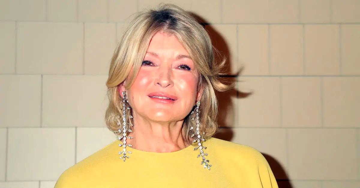 Martha Stewart Slammed For 'Natural' Unfiltered Selfie: Photos