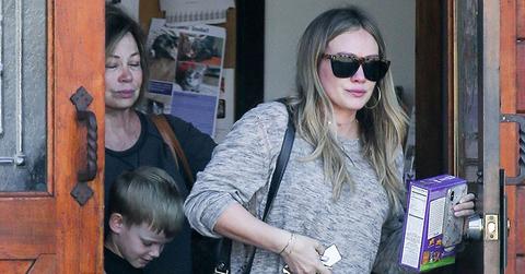 Hilary duff upset sick dog vet main